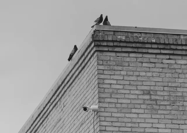 surveillance 5